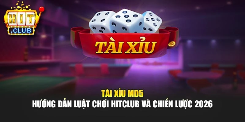 Tài Xỉu Md5 – Hướng Dẫn Luật Chơi Hitclub Và Chiến Lược 2026
